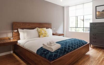 Regular las viviendas turísticas con datos: AMVITUR entrega propuesta al Plan de Desarrollo de CDMX